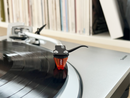 Ortofon 2M Bronze