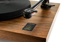 Gold Note Vasari Gold